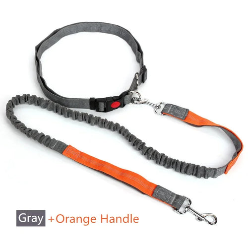 Retractable Dog Leash with Adjustable Waist Rope Hand Free Running