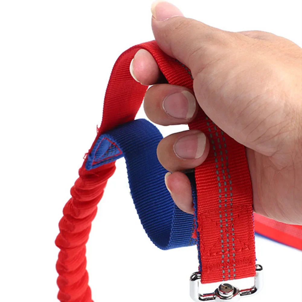 Retractable Dog Leash with Adjustable Waist Rope Hand Free Running