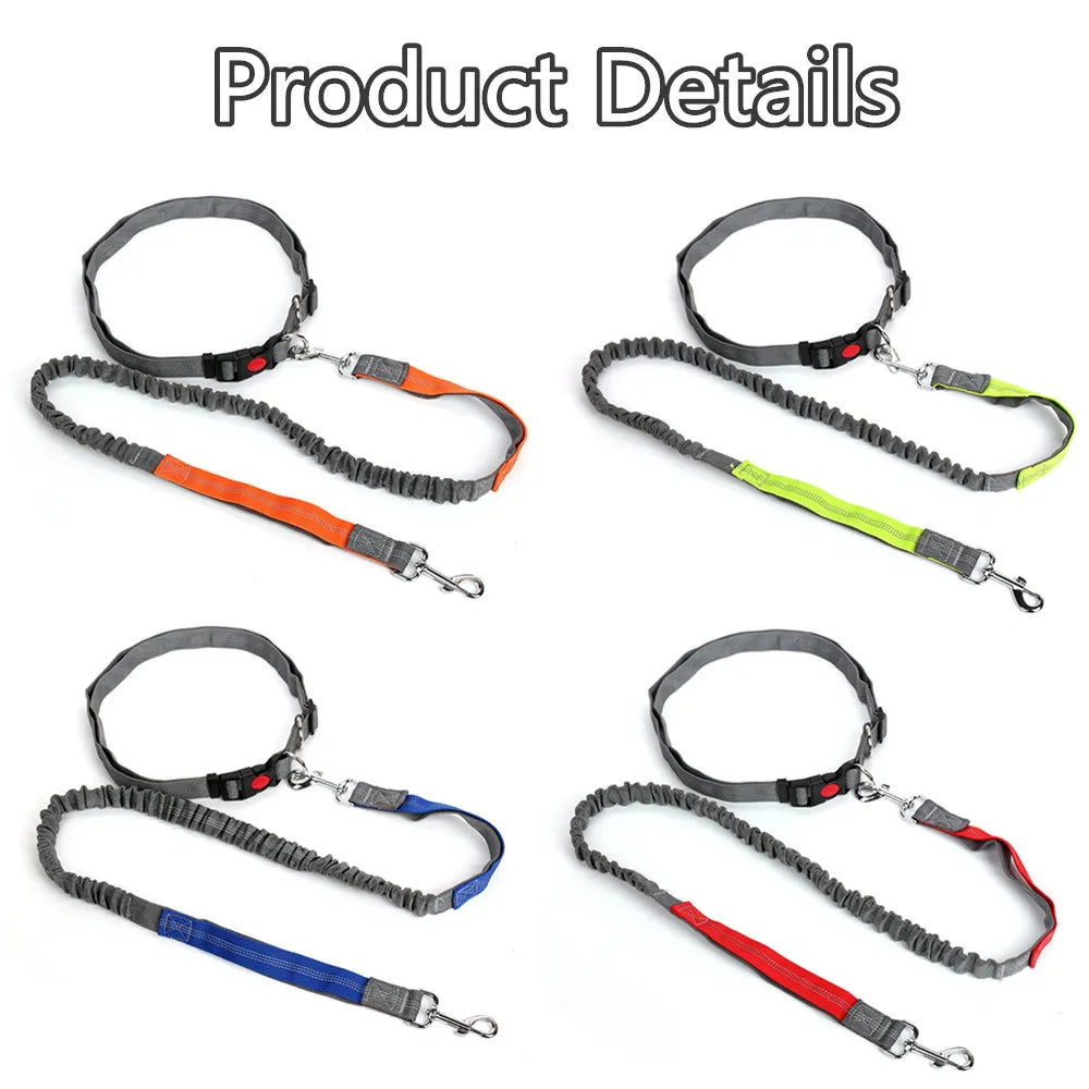 Retractable Dog Leash with Adjustable Waist Rope Hand Free Running