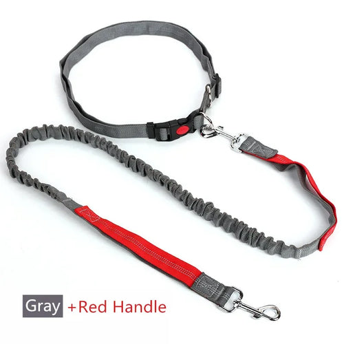 Retractable Dog Leash with Adjustable Waist Rope Hand Free Running