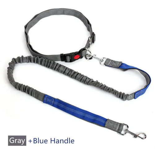 Retractable Dog Leash with Adjustable Waist Rope Hand Free Running