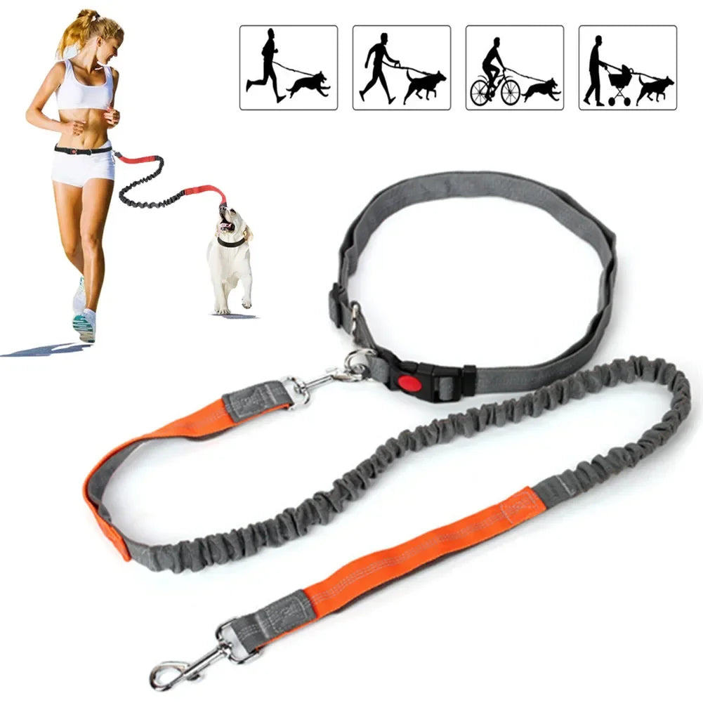 Retractable Dog Leash with Adjustable Waist Rope Hand Free Running