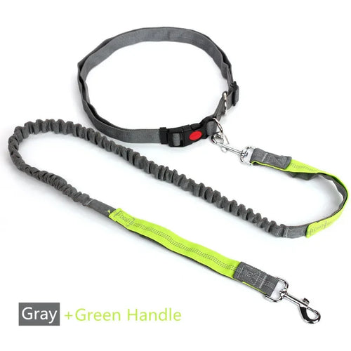Retractable Dog Leash with Adjustable Waist Rope Hand Free Running